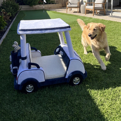 Golden retriever running to the Fairway Paws bed in a backyard